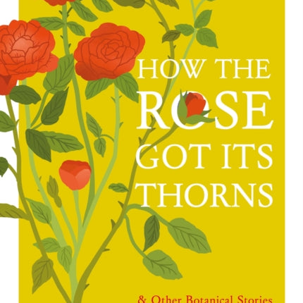 How the Rose Got Its Thorns