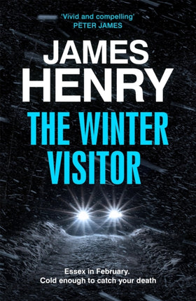 The Winter Visitor: the explosive new thriller set in the badlands of Essex