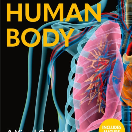 The Human Body