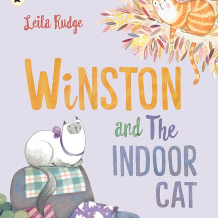 Winston and the Indoor Cat