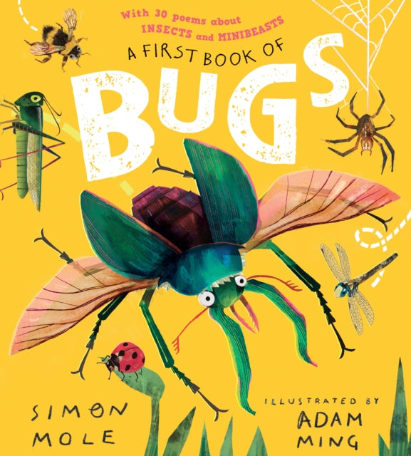 A First Book of Bugs with 30 poems about insects