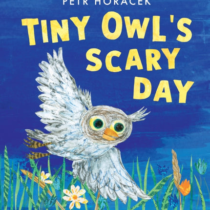 Tiny Owl's Scary Day