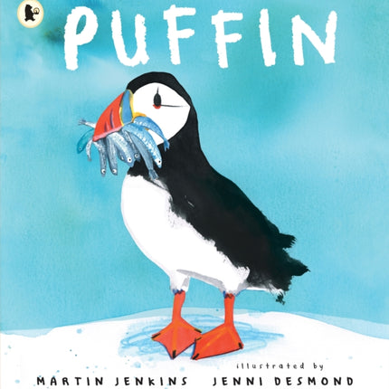 Puffin