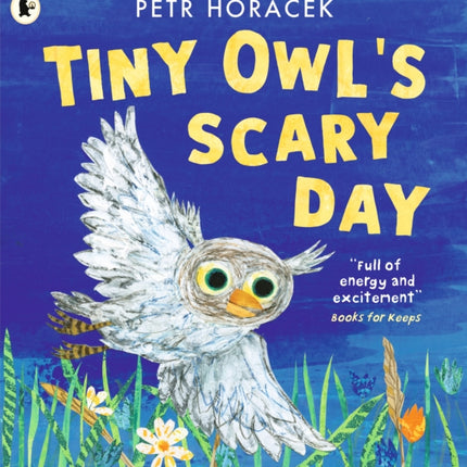 Tiny Owls Scary Day