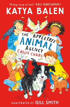 The Appletree Animal Agency Collie Chaos