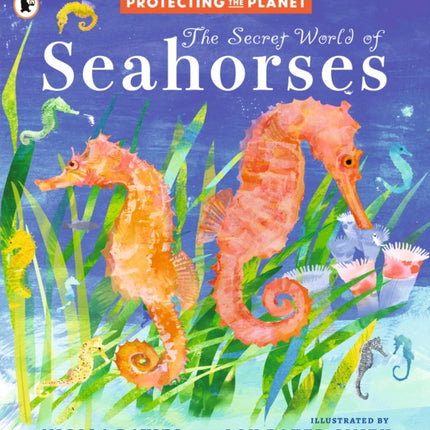 Protecting the Planet The Secret World of Seahorses