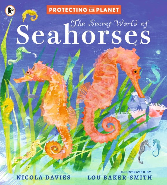 Protecting the Planet The Secret World of Seahorses