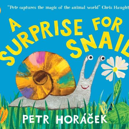 A Surprise for Snail