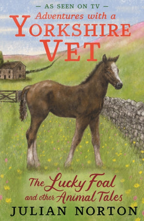 Adventures with a Yorkshire Vet The Lucky Foal