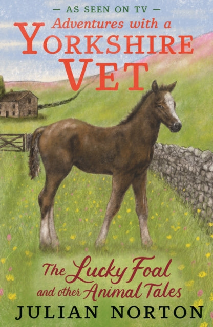Adventures with a Yorkshire Vet The Lucky Foal