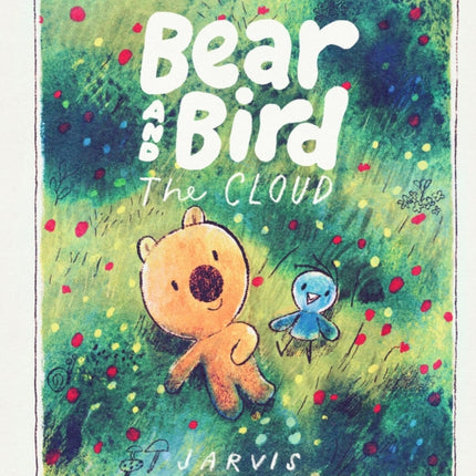 The Cloud A Bear and Bird Picture Book