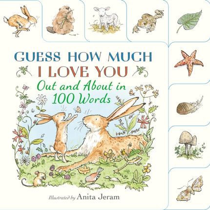 Guess How Much I Love You Out and About in 100 Words