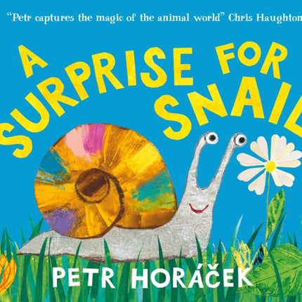 A Surprise for Snail