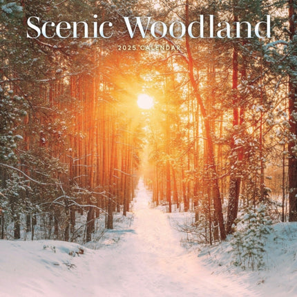 Scenic Woodland Square Wall Calendar 2025