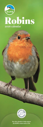 Rspb Robins Slim Calendar 2026