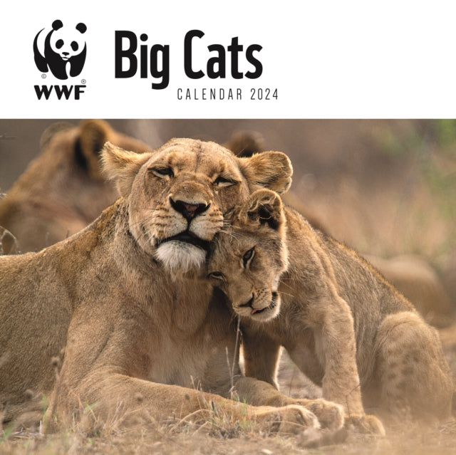 WWF Big Cats Square Wall Calendar 2024