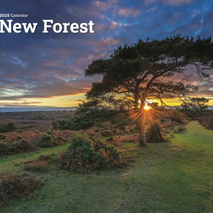 New Forest A4 Calendar 2025