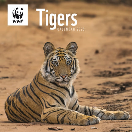 WWF Tigers Square Wall Calendar 2025