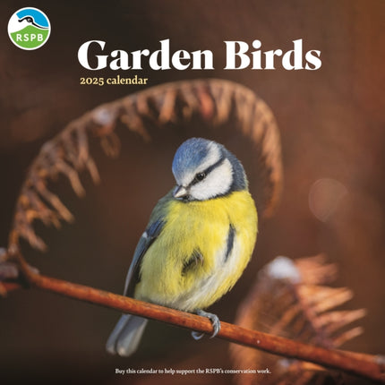 RSPB Garden Birds Square Wall Calendar 2025