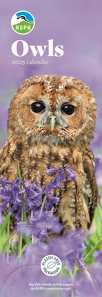 RSPB Owls Slim Calendar 2025