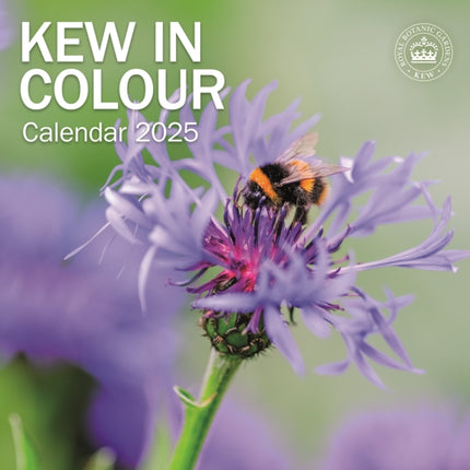 Royal Botanic Gardens Kew Kew in Colour Square Wall Calendar 2025