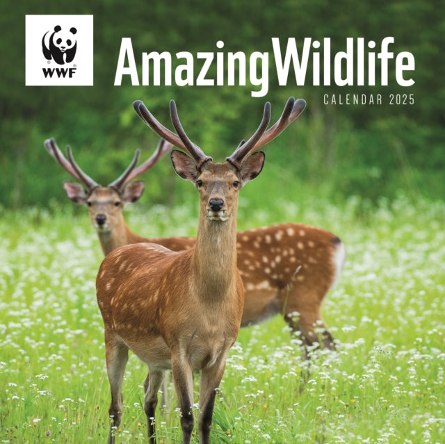 WWF Amazing Wildlife Square Wall Calendar 2025