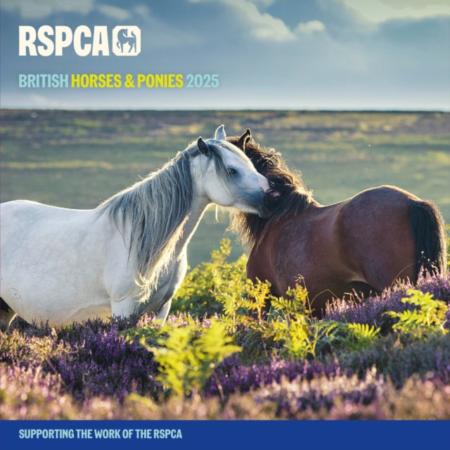 RSPCA British Horses  Ponies Square Wall Calendar 2025