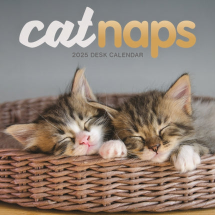 Cat Naps Easel Desk Calendar 2025