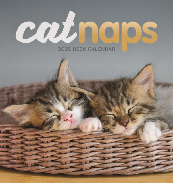 Cat Naps Easel Desk Calendar 2025