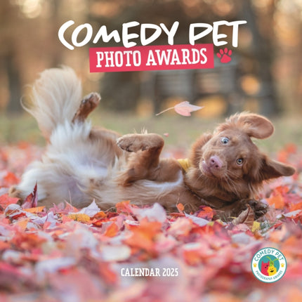 Comedy Pet Photography Awards Square Wall Calendar 2025