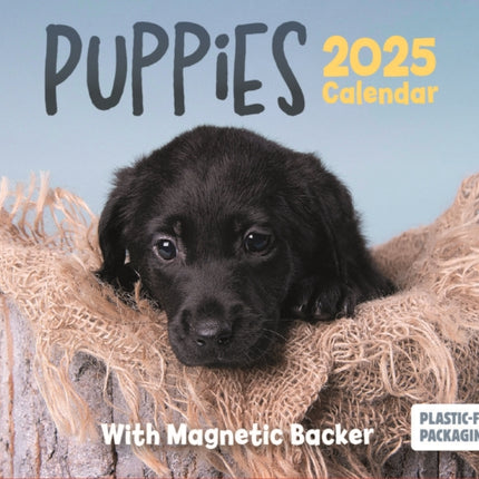 Puppies Mini Box Calendar 2025