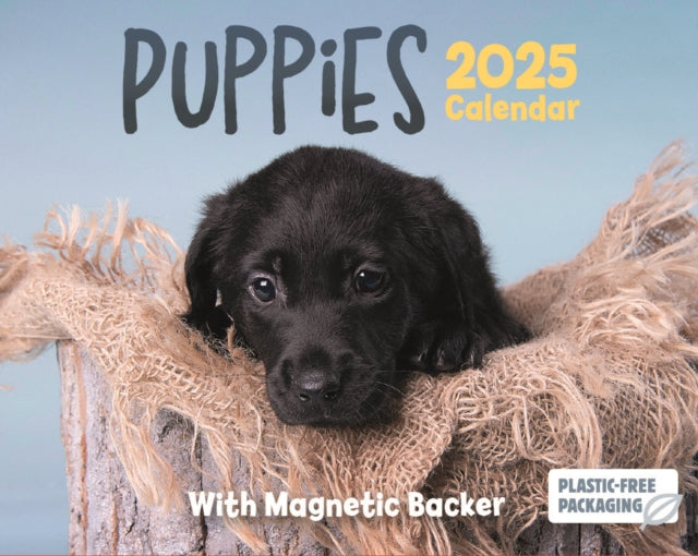 Puppies Mini Box Calendar 2025