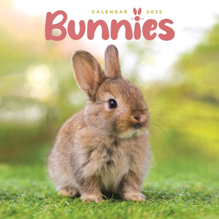 Bunnies Square Mini Calendar 2025