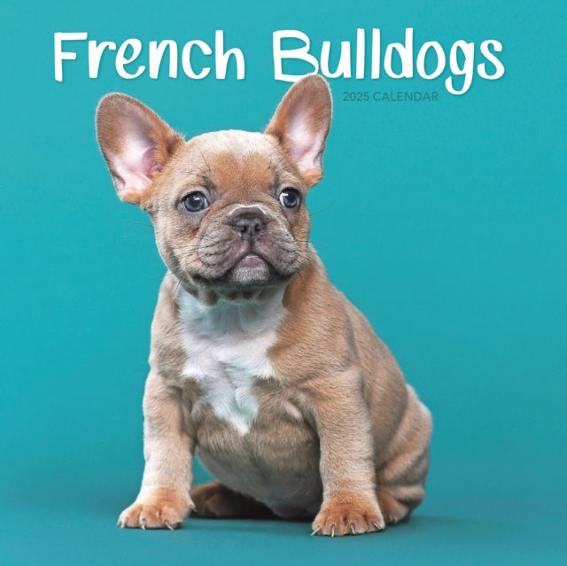 French Bulldogs Square Mini Calendar 2025