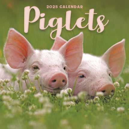 Piglets Square Mini Calendar 2025