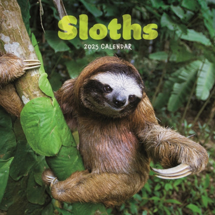 Sloths Square Mini Calendar 2025