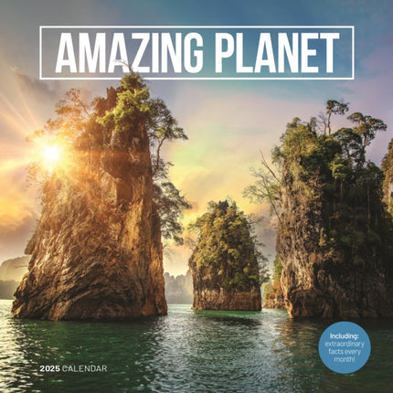 Amazing Planet Square Wall Calendar 2025