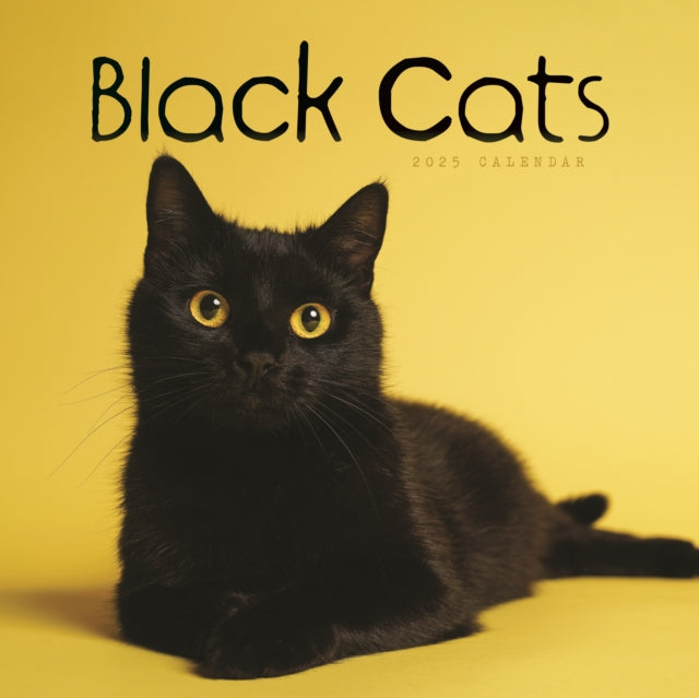 Black Cats Square Wall Calendar 2025