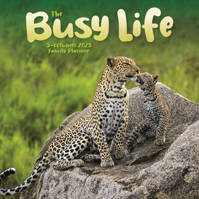 Busy Life Planner Wall Calendar 2025