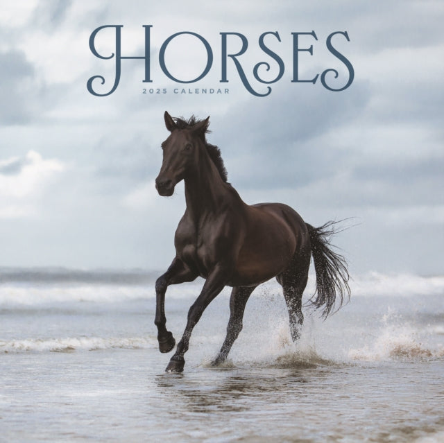 Horses Wiro Wall Calendar 2025