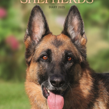 German Shepherds A5 Diary 2025