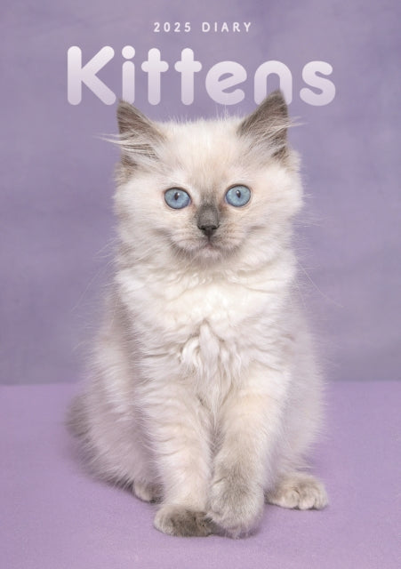 Kittens A5 Diary 2025