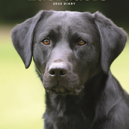 Labrador Retrievers Black A5 Diary 2025