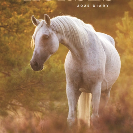 Horses A5 Diary 2025