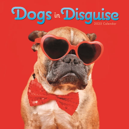 Dogs in Disguise Square Wall Calendar 2025