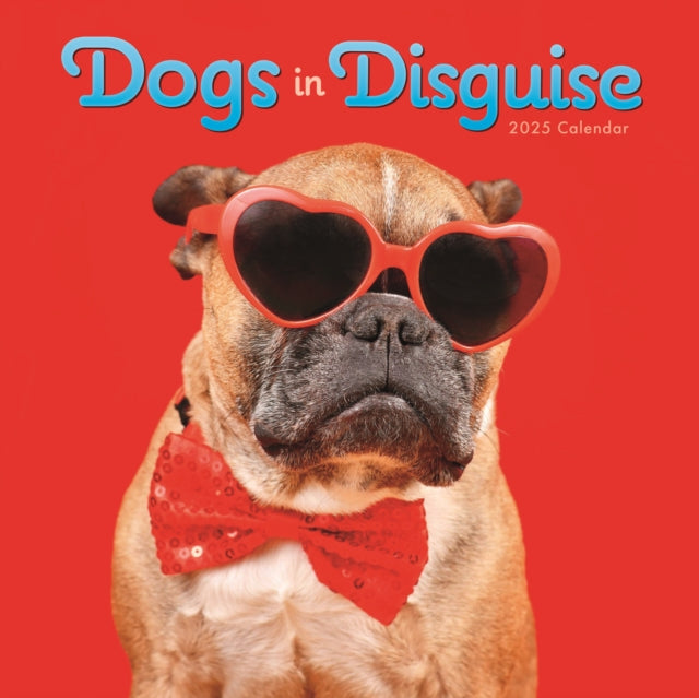 Dogs in Disguise Square Wall Calendar 2025