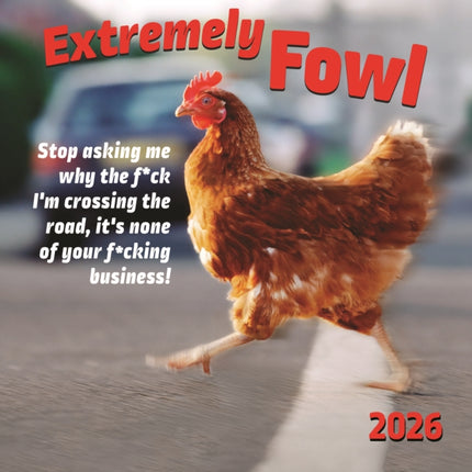 Extremely Fowl Square Wall Sunday Start