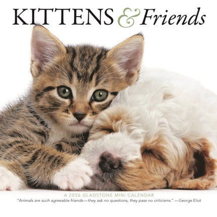 Kittens Friends Square Mini Sunday Start