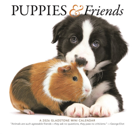 Puppies Friends Square Mini Sunday Start