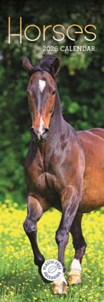Horses Slim Calendar 2026